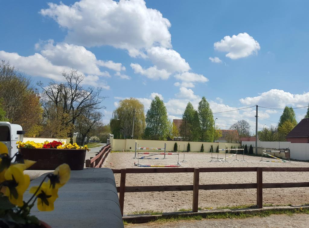 Farm Stay Nh Stables Nyrany Eksteriør billede