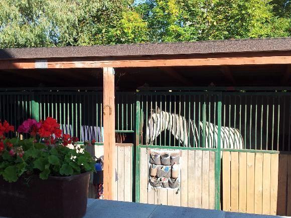 Farm Stay Nh Stables Nyrany Eksteriør billede